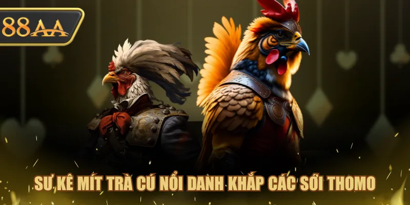 Sư Kê Đá Gà Cựa Sắt Danh Tiếng Nhìn Là Đặt Trúng 100% 3 Sư kê Mít Trà Cú nổi danh khắp các sới Thomo